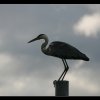 20050707_178